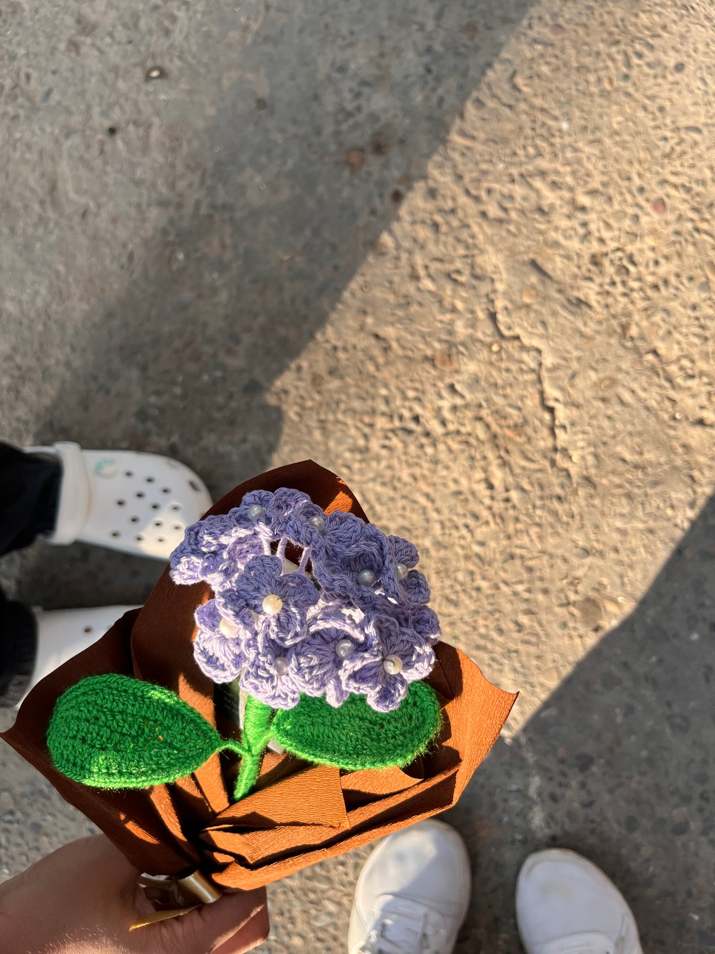 Hydrangea flower