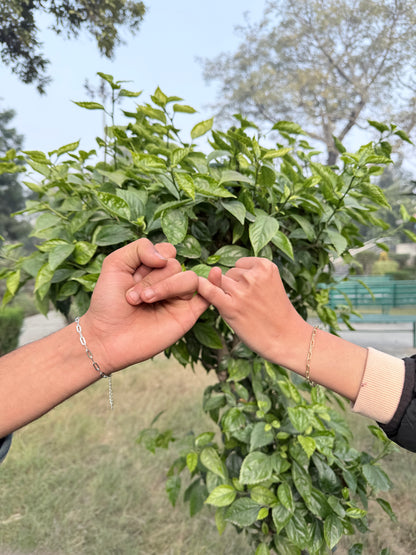 Paper clip matching bracelets