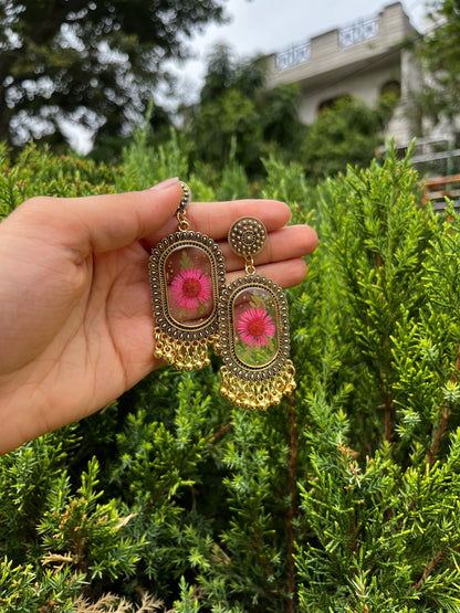 Elegant aster jhumkas