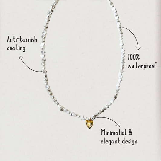 Amoria shell pearl necklace