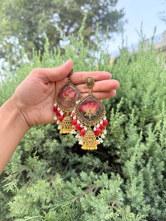 Gulaab e noor jhumkas