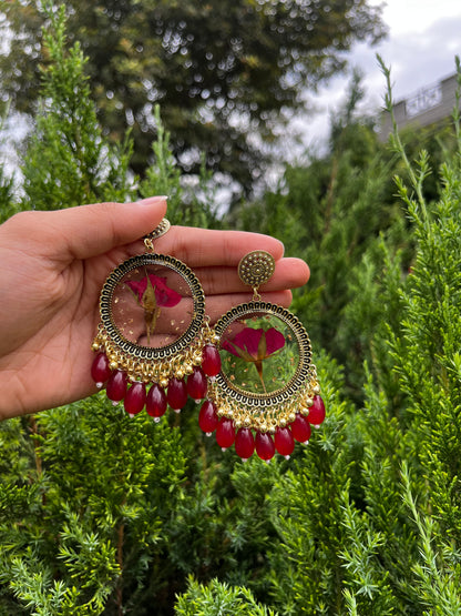 Gulab-e-noor jhumkas