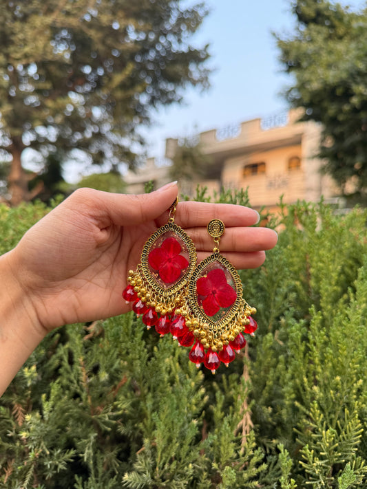 Red fern jhumka