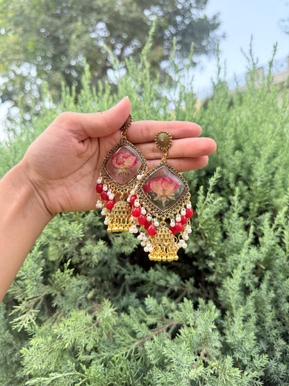 Gulaab e noor jhumkas