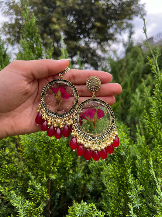 Gulab-e-noor jhumkas