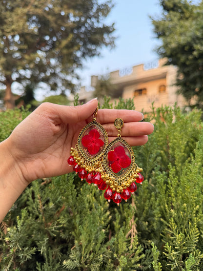 Red fern jhumka