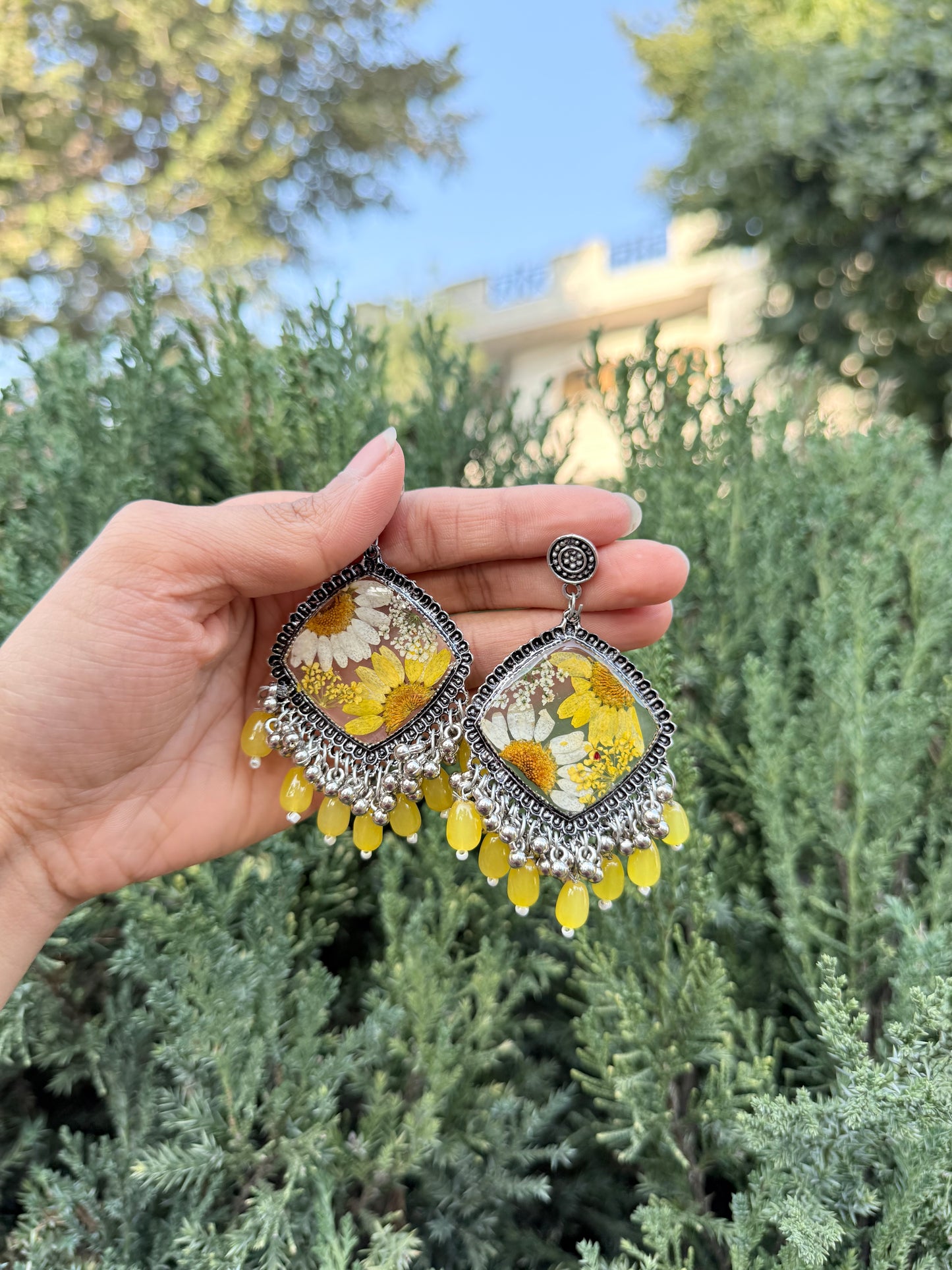 Royal yellow daisy jhumka