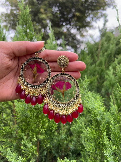 Gulab-e-noor jhumkas